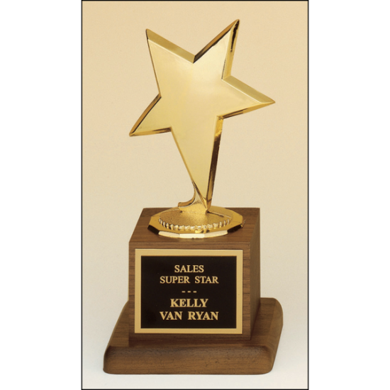 Metal goldtone modern star casting trophy