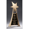 Metal star trophy