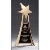 YOUR LOGO Star Blast Pink Shard Tubing Multi Award Trophy FREE ENGRAVING 