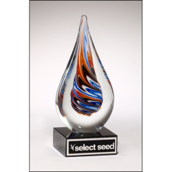 Teardrop-shaped art glass award on black glass base