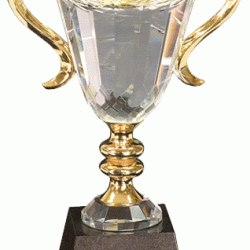 Prism Optical Crystal Cup Trophy