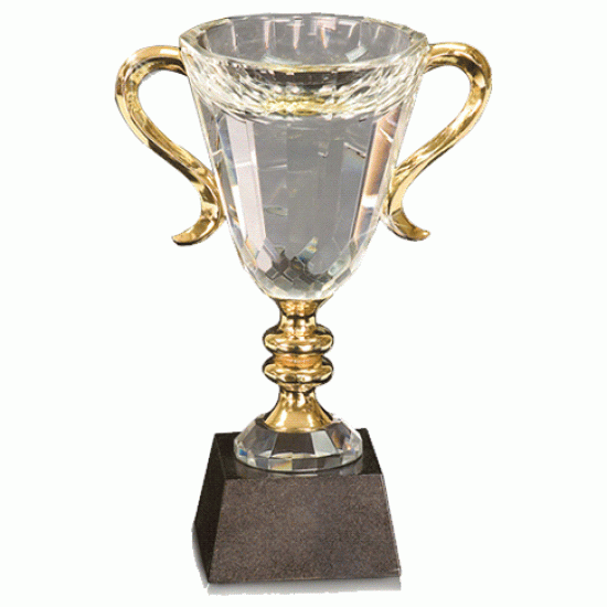Prism Optical Crystal Cup Trophy