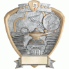 Resin Shield Academic 8.5 x 8 Trophy