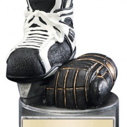 Color TEK Resin Hockey 4" Trophy