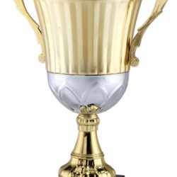 Gold Metal Cup Trophy