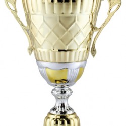 Gold Metal Cup Trophy