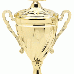 Gold Tone Metal Cup Trophy