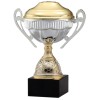 Gold Metal Cup Trophy