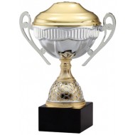 Gold Metal Cup Trophy