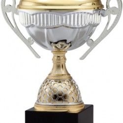 Gold Metal Cup Trophy