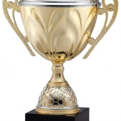 Gold Metal Cup Trophy