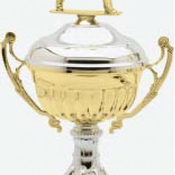 Classic Acrylic Cup Trophy