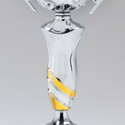 Silver Metal Cup Trophy