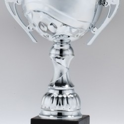 Silver Metal Cup Trophy