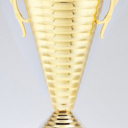 Gold Metal Cup Trophy