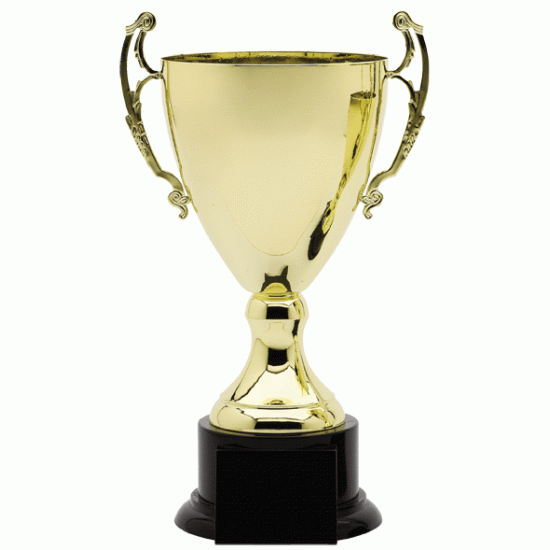 Gold Metal Cup Trophy Gold Metal Cup Trophy