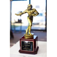 Fantasy Football Trophy