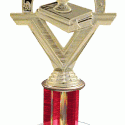 Single Post 8" Trophy