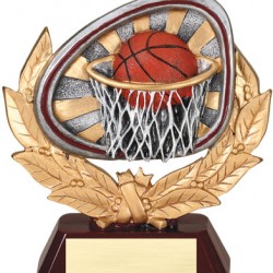 Color 5.5" Resin Stamford Series Basketball Trophy