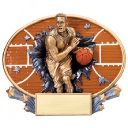 Xplosion Ovals Basketball Award