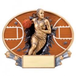 Xplosion Ovals Basketball Award