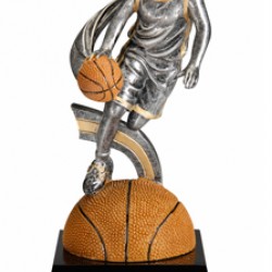 Motion Xtreme Basketball Award