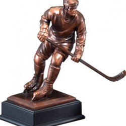 Hockey Award