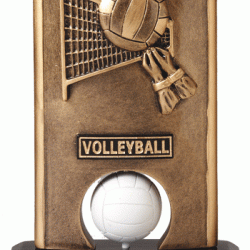 Color 6" Resin Spinning Vollyball Trophy