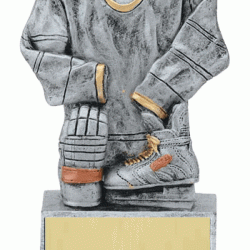 Full Color 4.25" Resin Jersey Trophy