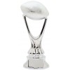 Silver Finished Resin Football Trophy
