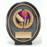 Resin Oval Shield Cricket Trophy
