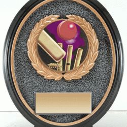 Resin Oval Shield Cricket Trophy