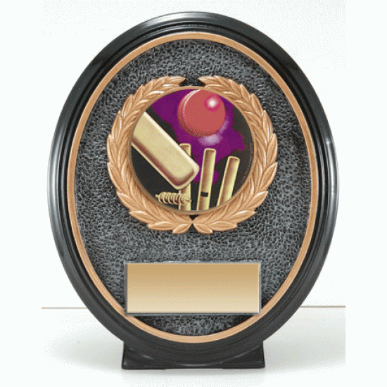 Resin Oval Shield Cricket Trophy Resin Oval Shield Cricket Trophy