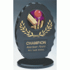 Resin Oval Shield Cricket Trophy