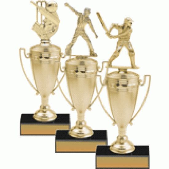 Classic Acrylic Cup Trophy Classic Acrylic Cup Trophy