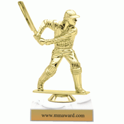 6 Cricket Trophy
