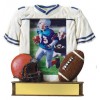 Painted Photo Jersey Resin Trophy