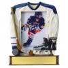 Painted Photo Jersey Resin Trophy