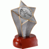 Star Riser Cricket Trophy