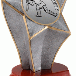 Star Riser Cricket Trophy