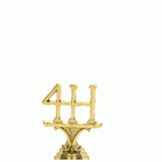 Build upto 36 Trophy Build upto 36 Trophy