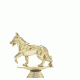 Build upto 36 Trophy Build upto 36 Trophy