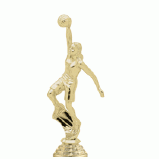 Build upto 36 Trophy Build upto 36 Trophy