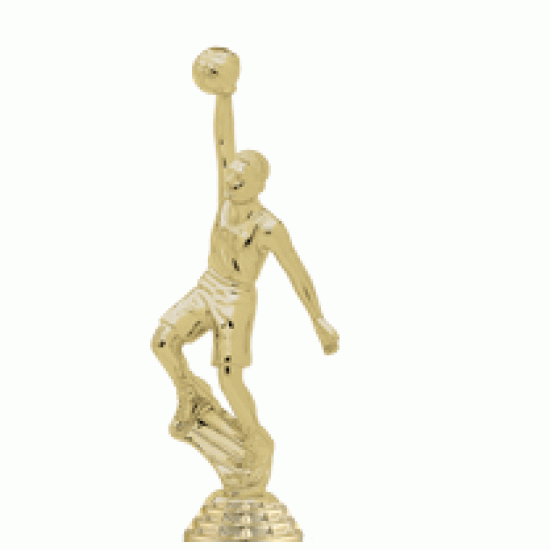 Build upto 36 Trophy Build upto 36 Trophy