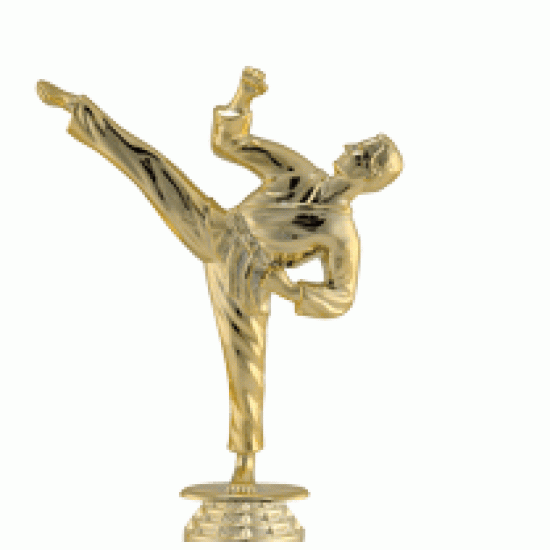 Build upto 36 Trophy Build upto 36 Trophy