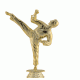 Build upto 36 Trophy Build upto 36 Trophy
