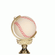 Build upto 36 Trophy Build upto 36 Trophy