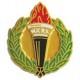 Lapel Pins Lapel Pins