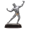 Body Builder Trophies