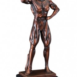 Resin Sculpture Female Body Builder Trophy